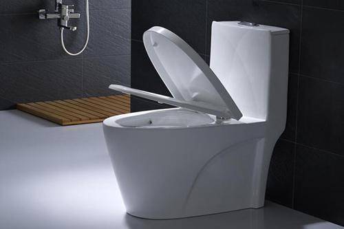 虹吸式馬桶原理