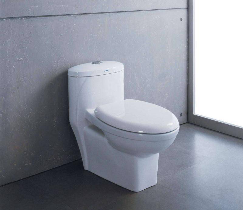 廁所馬桶堵了怎么辦