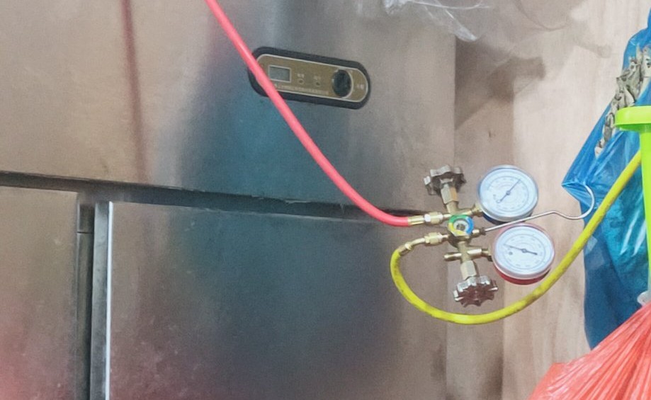 ���{ʲô��B(t��i)�ż�ѩ�N