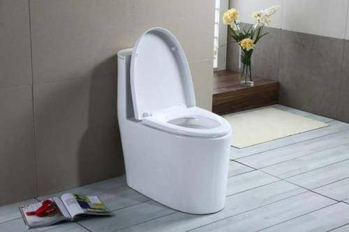 導(dǎo)致馬桶堵塞的原因