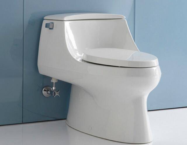 坐式馬桶堵了怎么辦